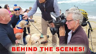 2022 Purina Incredible Dog Competition | Dog Surfing Finals | Behind The Scenes!