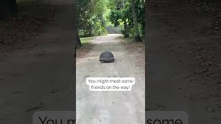 Daily Life on North Island, Seychelles