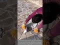 🏡PERFECTLY GROUTING! ✨ Satisfying Cement Filling Process for Natural Stone Patio#dailywork