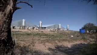 BIOMASS - BIOENERGY
