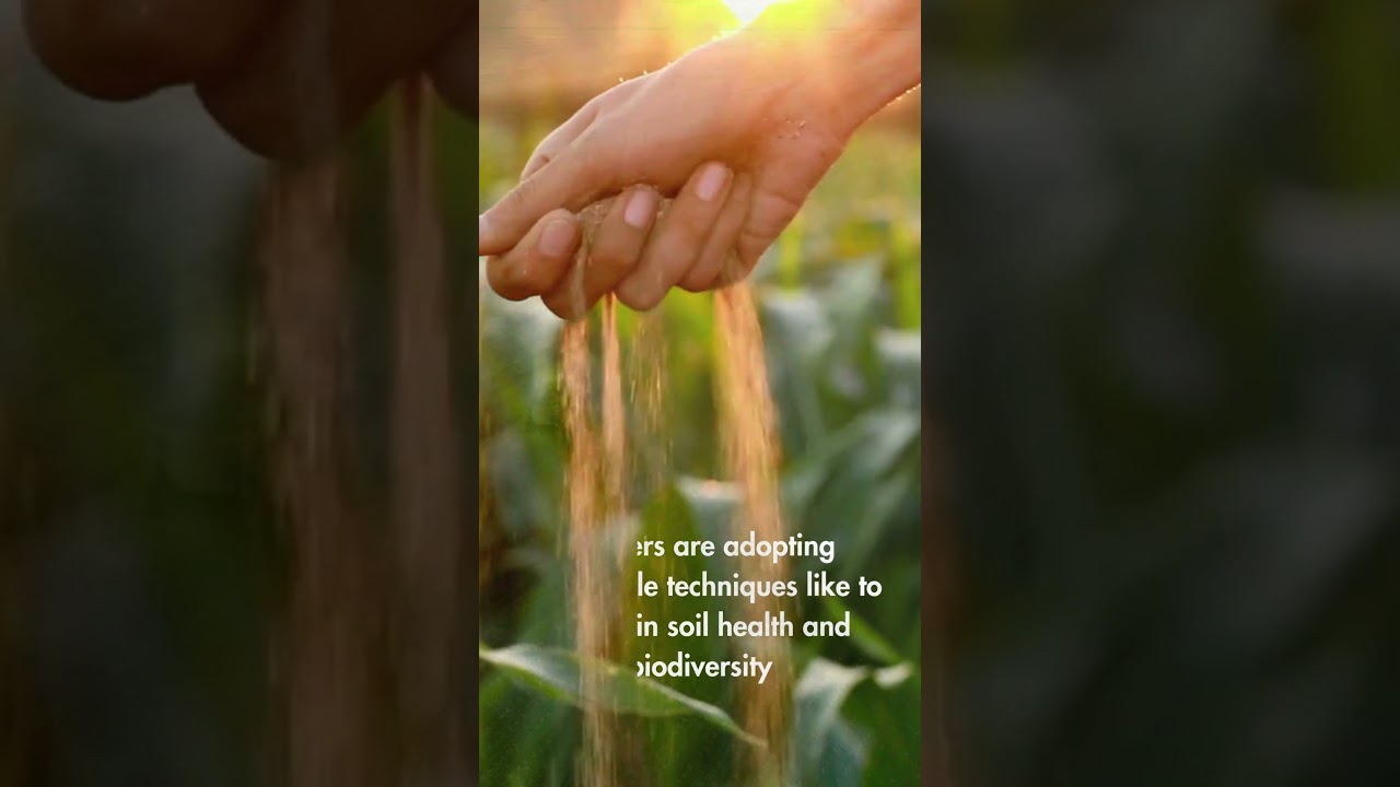 Cultivating Tomorrow: Our Managed Farmlands |  