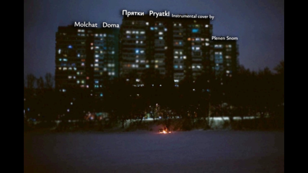 Pryatki - Прятки / Molchat Doma instrumental cover by Plenen Snom