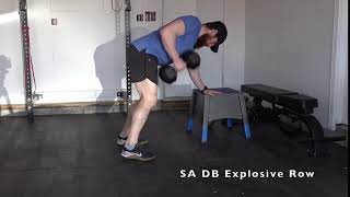 Single Arm DB Explosive Row