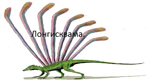 14 выпуск. Лонгисквама. Непонятный гребень на спине. Влог о животных.
