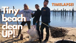 Tiny Beach Clean Up! TIME LAPSE FOOTAGE by Julianna Carfaro 2,663 views 4 years ago 3 minutes, 47 seconds