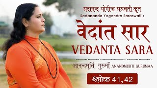 वेदांत सार : श्लोक 41, 42 | आनन्दमूर्ति गुरुमाँ | Vedanta Sara : Shloka 41, 42 | Anandmurti Gurumaa