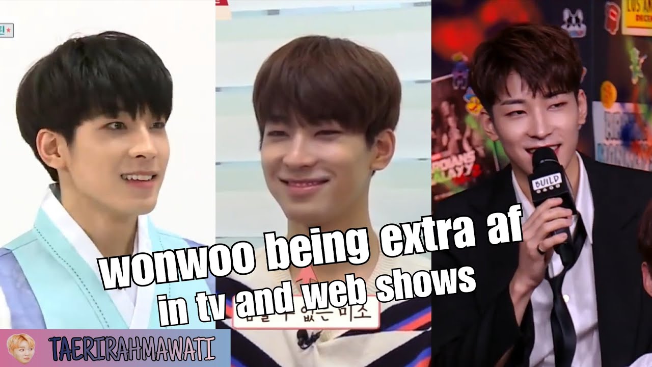 seventeen's wonwoo being extra af in tv and web shows