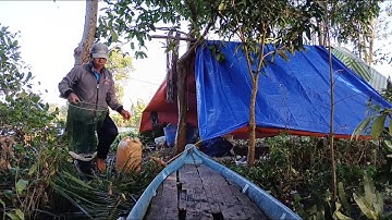 Dựng trại cắm câu đêm ll thưởng thức món gà nước luộc quá thơm ngon