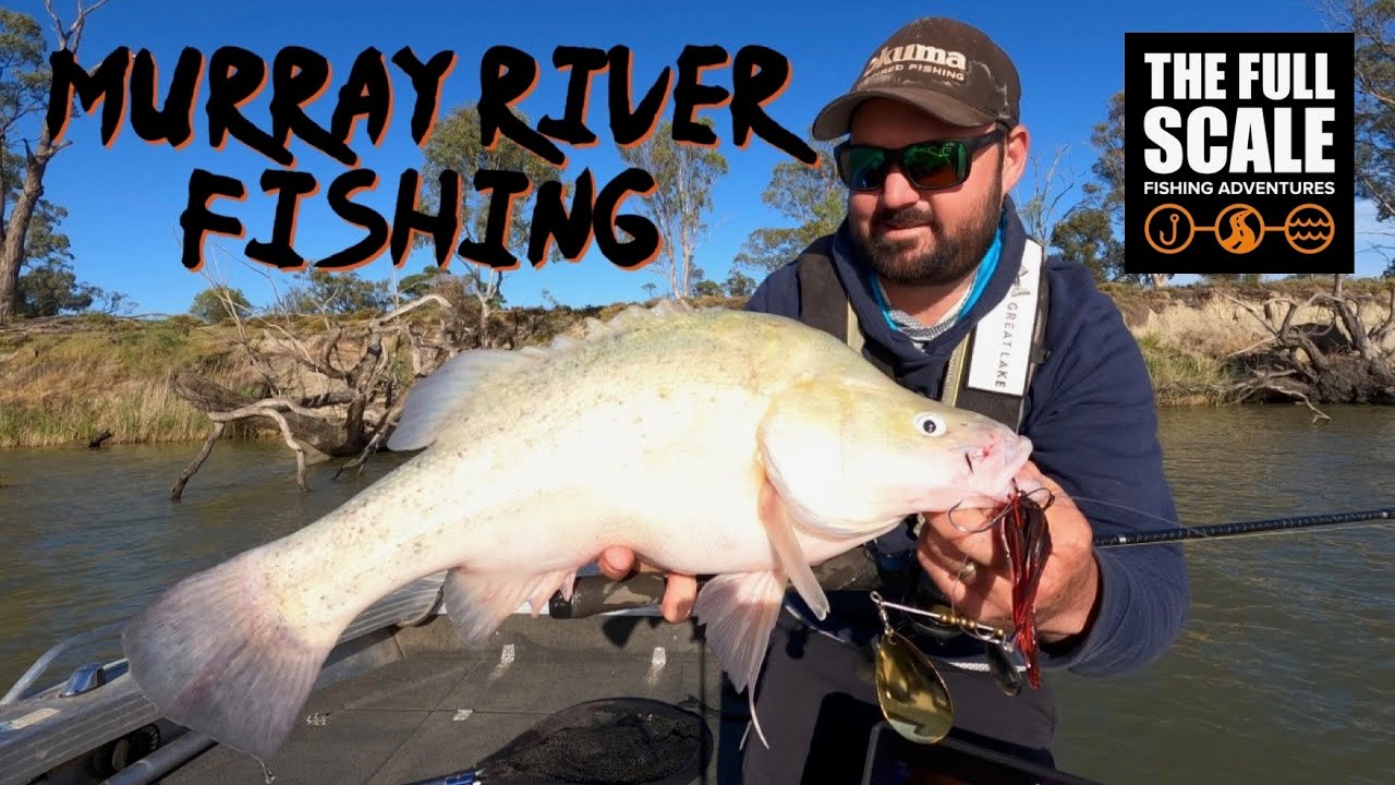 Best Tips for Catching Murray Cod - Increase Your Chances – Jack Norton  Fishing