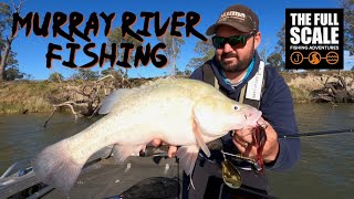 River Murray Fishing | Tactics To Catch Golden Perch | The Full Scale