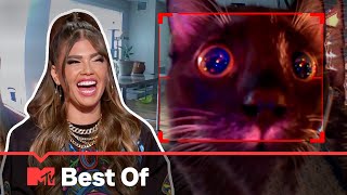 Ridiculousnessly Unforgettable Animals  SUPER COMPILATION | Ridiculousness