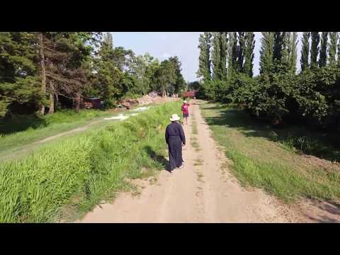 მამა იაკობ სურმავას მეურნეობა (ხობი-კოლხეთი 20 წლის შრომის შედეგი)