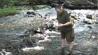 Water Testing Sample Collection.mov