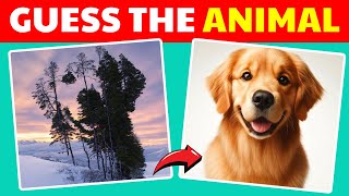 Guess the Hidden Animals by ILLUSIONS  | Easy, Medium, Hard levels | Quizzer Odin