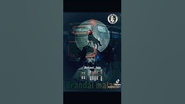 BERANDAL MALAM DI BANGKU TERMINAL_ IWAN FALS