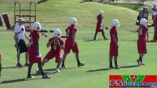 Fresno State Fall Camp Highlights - QB Drills 8/3/13