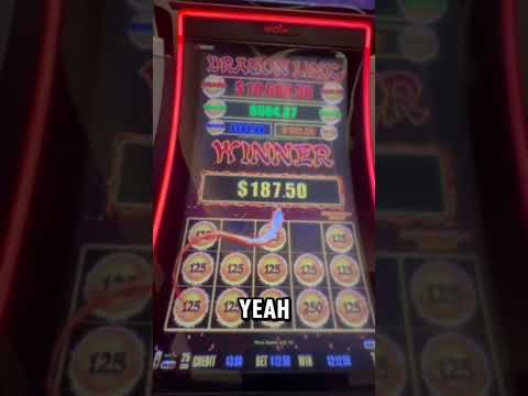 Hollywood Casino Toledo Animal Insider Series - Wolves