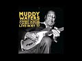 Muddy Waters Johnny Winter James Cotton Live At The Palladium New York City 1977 Audio Only mp3