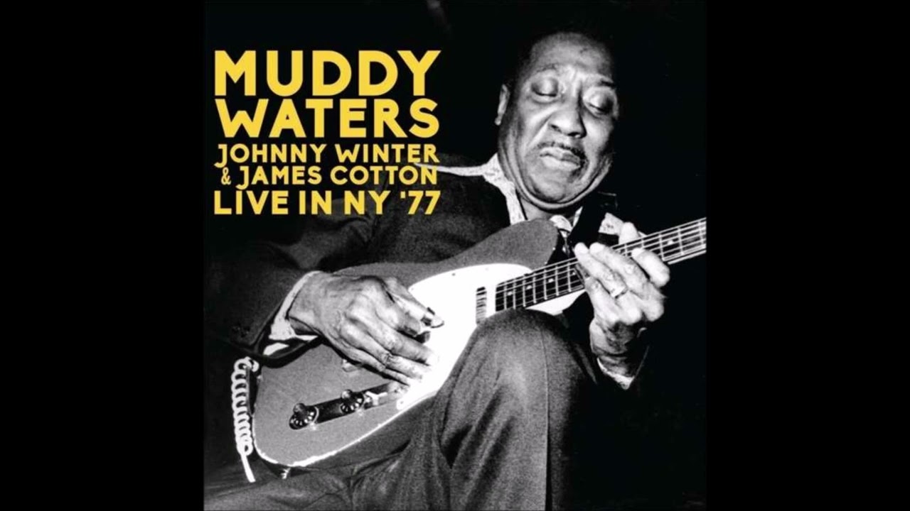 Muddy Waters, Johnny Winter & James Cotton Live at the Palladium