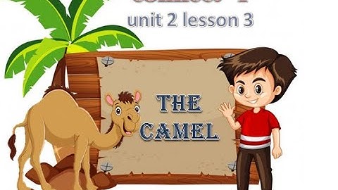#_Connect_#_4#_Unit_2_Lessom_3##Desert-animals