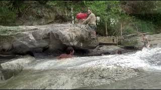 A jungle river swim and my elephant.