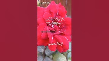 إنني أنا الله اجمل تلاوه للشيخ خالد الجليل تلاوات الشيخ خالد الجليل حالات واتس اب قرآن