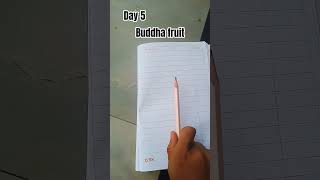 day 5 Buddha fruit# short