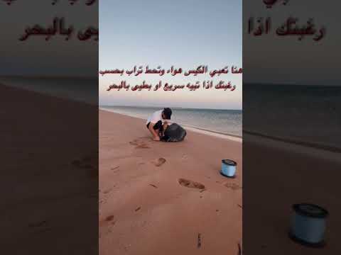 فيديو: كتلة الرف عن طريق ايمي الصيد