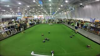 Goal STOx's vs RoboDragons quarterfinals (RoboCup 2013 - Small Size League)