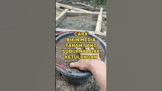 HOW TO MAKE A GACOR PLANTING MEDIUM #info #tips #gardens #farmers #methods #benefits #organic fer...