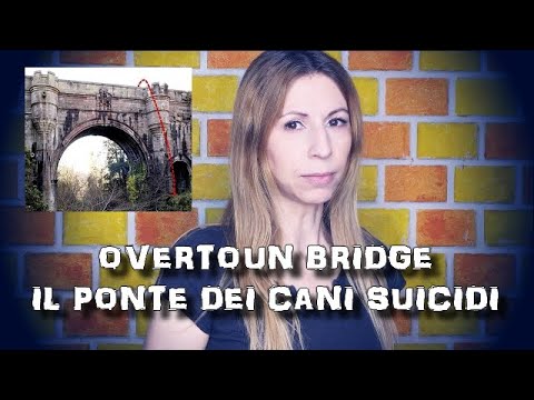 Video: Un Ponte Misterioso Che Uccide I Cani - Visualizzazione Alternativa