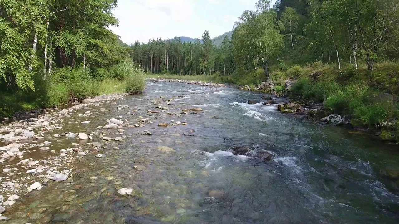 Речка куба. Река Куба горный Алтай Чемал. Речка Куба Чемал. Река Куба в Чемале. Урочище Ингурек Чемальского района.