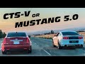 Supercharged CTS-V Meets Full Bolt on 5.0 Mustang! (MUST SEE!) | ScattyVlogs