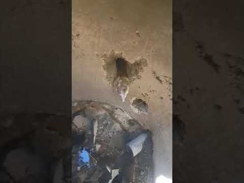 Эра 2 в работе. Видео от клиента