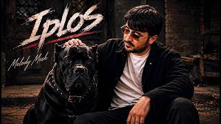 Iplos - Melody Mesh 2026