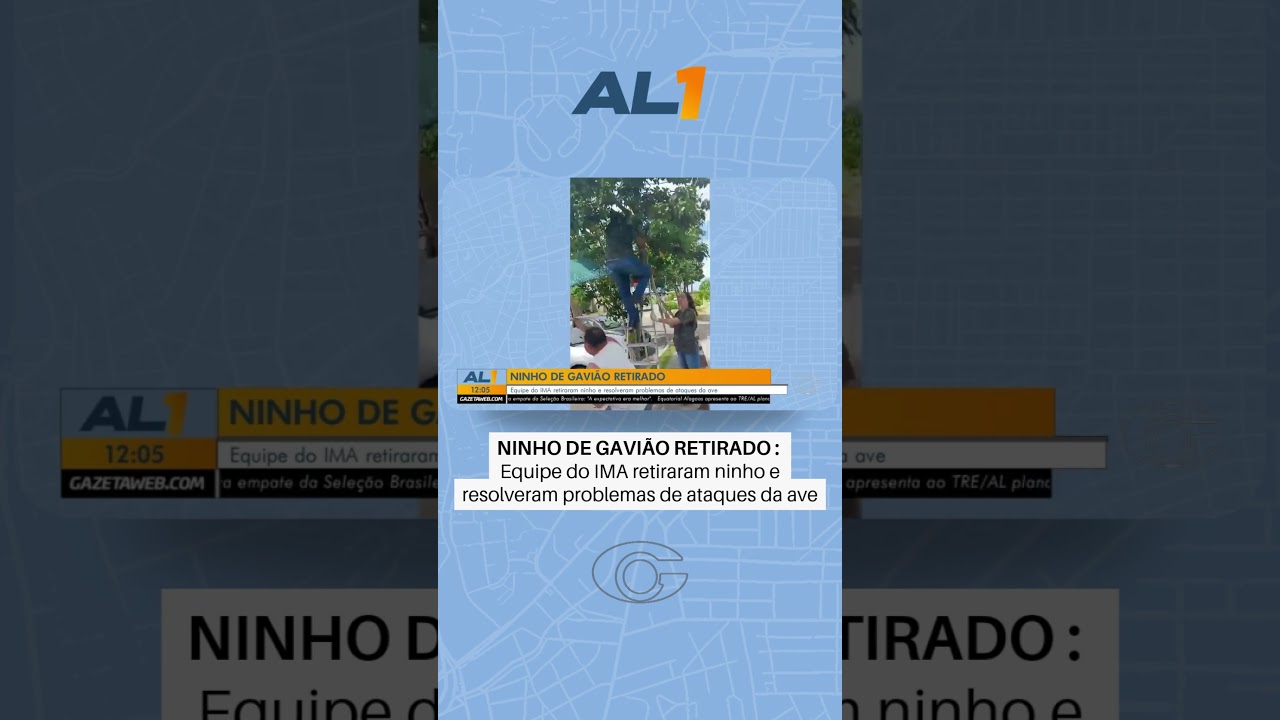 Ninho de gavião é retirado por equipe do Ima