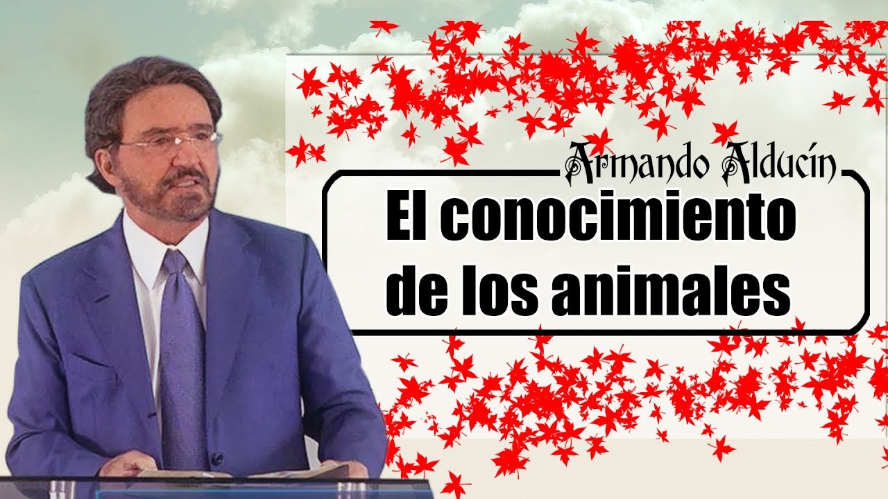 Dr. Armando Alducín 2017 - 