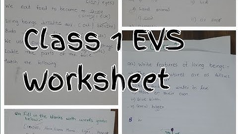 Class 1 Evs || Class 1 Evs Worksheet || Class 1 Evs 1st Term exam Sample Question Paper #class1evs