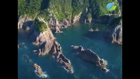 سورة الملك: اللهم اجعل القران الكريم ربيع قلبي