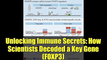 Unlocking Immune Secrets: How Scientists Decoded a Key Gene (FOXP3)