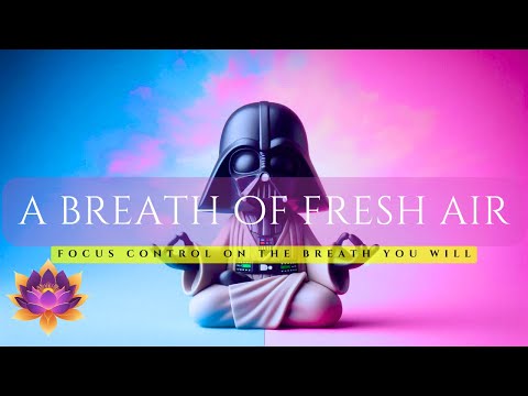 A Jedi-Inspired Guide to Relaxation, Guided Breathing: A Breath of Fresh Air by Paul Collier