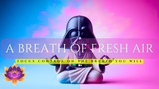 A Jedi-Inspired Guide to Relaxation, Guided Breathing: A Breath of Fresh Air by Paul Collier