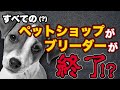 営業終了！？数値規制による影響はペット業界を苦しめるのか？ペットショップ、ブリーダーの生活は？愛犬大好き、松本秀樹が語る！