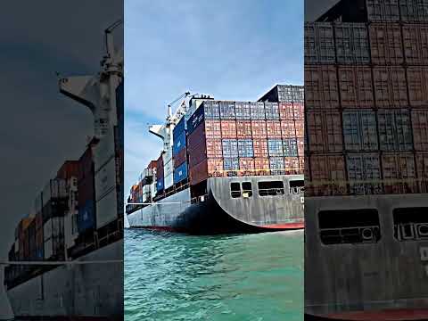 HOW TO JION MSC MSC Msc Viralvideo Trendingshorts Merchantnavy 20million 