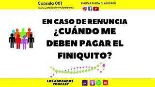 EMPLOYMENT SETTLEMENT. PAYMENT DATE screenshot 3