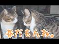 ついに今年もこの季節がやってきました! vol.1551