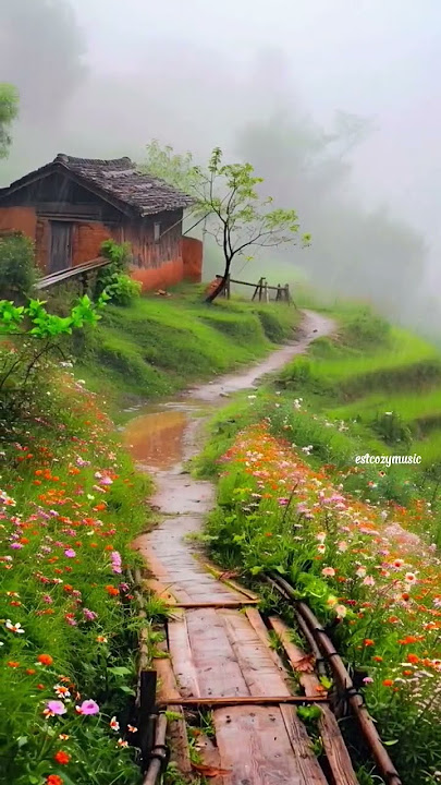 Rain sound for stress relief and relaxation #short#heavyrain#sleep#viralvideo