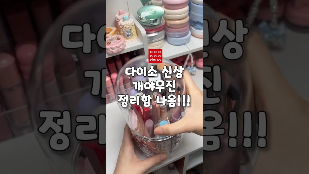 다이소 신상 정리함 개야무지네🥵🥵