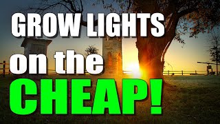 Grow Lights on the CHEAP! by Texas Garden Doc 3,001 views 3 years ago 13 minutes, 19 seconds