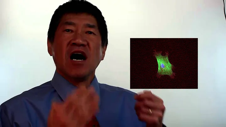 How to repair cartilage in osteoarthritis... the role of stem cell matrix